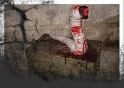 DC Props "Amplus Vermin" Halloween Animatronic Animatronics