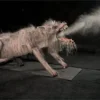 Distortions Animatronics "Attack Dog" Halloween Animatronic