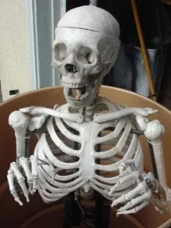 DC Props "Barrel Spitter Skeleton" Halloween Animatronic Animatronics 7 DC Props