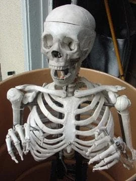 DC Props "Barrel Spitter Skeleton" Halloween Animatronic Animatronics 4 DC Props "Barrel Spitter Skeleton" Halloween Animatronic Animatronics