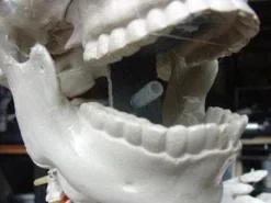 DC Props "Barrel Spitter Skeleton" Halloween Animatronic Animatronics 9 DC Props