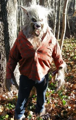 The Horror Dome "Big Bad Wolf" HD Studios Pro Costume