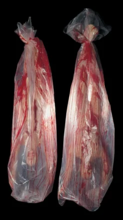 Distortions "Body Bag" Static Halloween Prop Professional Props