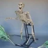 DC Props "Bushwacker" Skeleton Halloween Animatronic