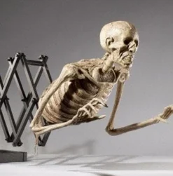 DC Props "Corpse Extender" Skeleton Halloween Animatronic Animatronics