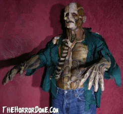The Horror Dome "Decayed Zombie" HD Studios Pro Costume Costumes 10 The Horror Dome