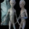 Midnight Studios "EBE Extraterrestrial Biological Entity" Professional Alien Prop Props