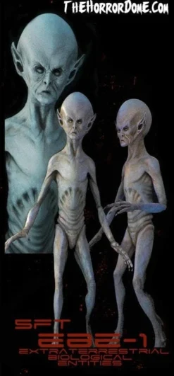 Midnight Studios "EBE Extraterrestrial Biological Entity" Professional Alien Prop Props