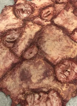 SpellBound FX And Art Accessories