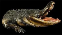 Distortions Animatronics "Gator Chomp Head" Halloween Animatronic