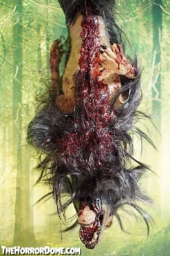 The Horror Dome Gutted Baby Werewolf Hanging Prop Props 9 The Horror Dome Gutted Baby Werewolf Hanging Prop Props