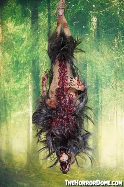 The Horror Dome Gutted Baby Werewolf Hanging Prop Props 10 The Horror Dome Gutted Baby Werewolf Hanging Prop Props