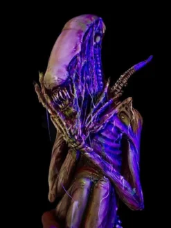 Midnight Studios "Hatching Alien" Professional Halloween Prop Professional Props