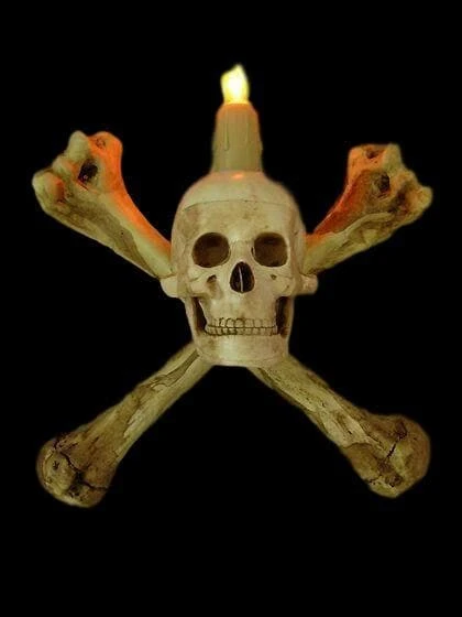Skeletons And More "Humerus Bone Wall Sconce With 3 Inch Skull" Haunted House Lighting 3 Skeletons And More "Humerus Bone Wall Sconce With 3 Inch Skull" Haunted House Lighting