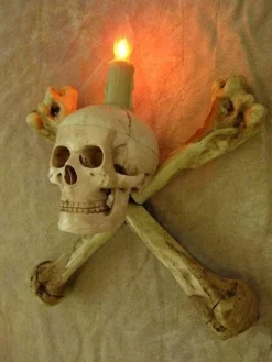 Skeletons And More "Humerus Bone Wall Sconce With 3 Inch Skull" Haunted House Lighting 7 Skeletons And More