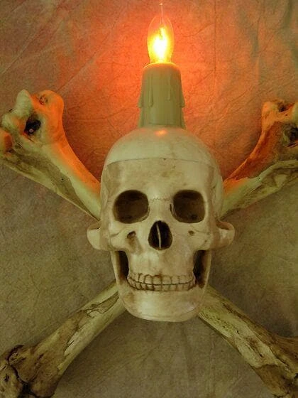 Skeletons And More "Humerus Bone Wall Sconce With 3 Inch Skull" Haunted House Lighting 5 Skeletons And More "Humerus Bone Wall Sconce With 3 Inch Skull" Haunted House Lighting