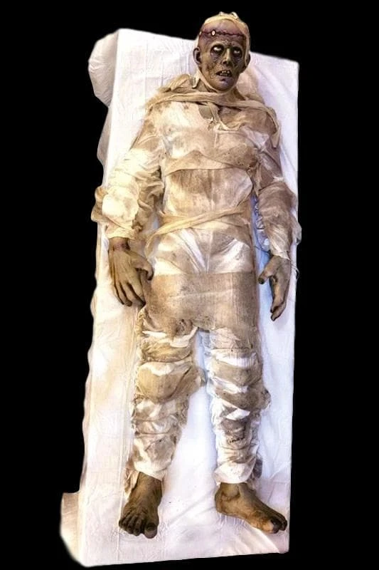 Morris "IT LIVES! Frightronics" Electric Animated Halloween Prop 3 Morris "IT LIVES! Frightronics" Electric Animated Halloween Prop