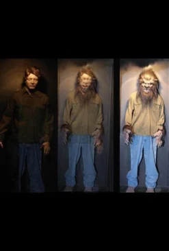 Distortions "Monster Morph" Halloween Illusion Prop