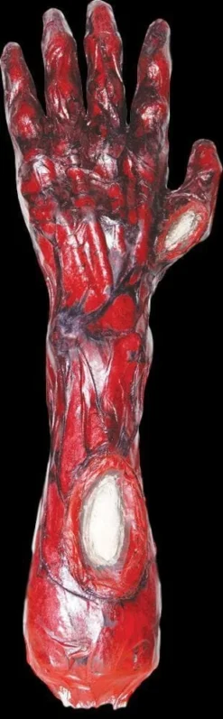 Morris "Peeled Flesh - Left Arm" Human Body Part Halloween Prop Props