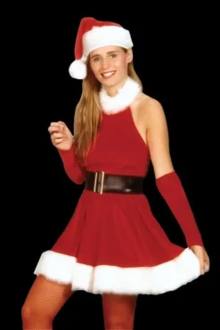 Morris Costumes "Santa's Inspiration Dress" Costume
