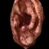 SpellBound FX And Art "Severed Ear" Halloween Prop Accessories