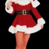 Morris "Sexy Miss Santa - Adult Small" Costume