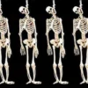 Morris Package Deals "Skeleton Halloween Props" - 6x Package Deal