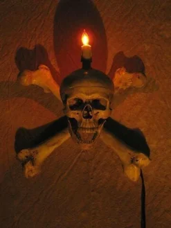 Skeletons And More "Skull/Femur Bone Wall Sconce" Haunted House Lighting Realistic Props 11 Skeletons And More