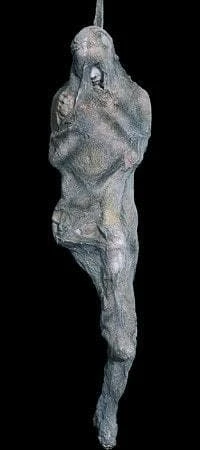 Distortions Props "Spider Victim" Professional Halloween Prop