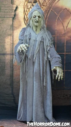 The Horror Dome Costumes "Swamp Hag" HD Studios Costume 11 The Horror Dome Costumes