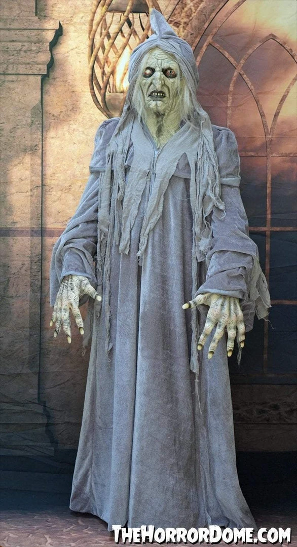 The Horror Dome Costumes "Swamp Hag" HD Studios Costume 7 The Horror Dome Costumes "Swamp Hag" HD Studios Costume