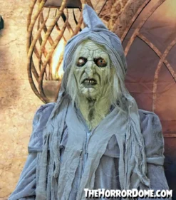 The Horror Dome Costumes "Swamp Hag" HD Studios Costume 10 The Horror Dome Costumes