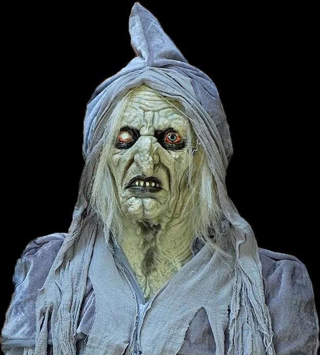 The Horror Dome Costumes "Swamp Hag" HD Studios Costume 4 The Horror Dome Costumes "Swamp Hag" HD Studios Costume