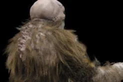 The Horror Dome "The Hobgoblin" HD Studios Pro Costume Costumes 14 The Horror Dome