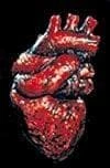 Morris "The Human Heart" Bloody Halloween Prop Props