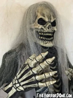 The Horror Dome Costumes