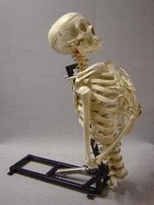 DC Props "Torso Lifter" Halloween Animatronic Mechanism Animatronics