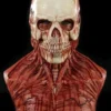 CFX "Yorick Bloody Skull" Silicone Mask
