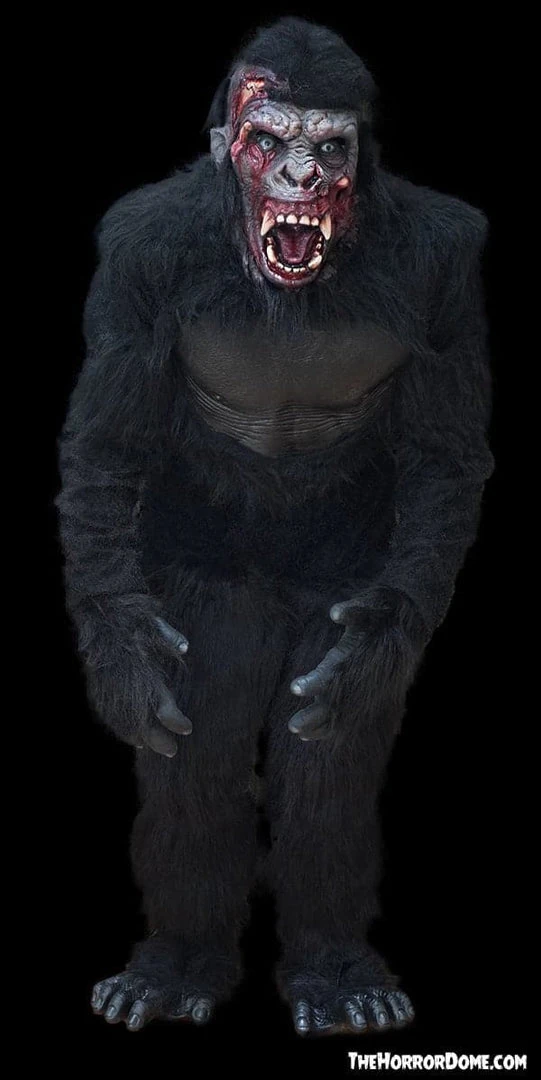 The Horror Dome Costumes "Zombie Gorilla" HD Studios Pro Costume 5 The Horror Dome Costumes "Zombie Gorilla" HD Studios Pro Costume