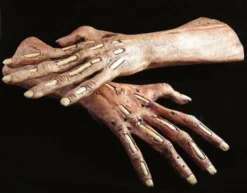 The Horror Dome Hands & Feet "Zombie Latex Hands" Halloween Costume Gloves