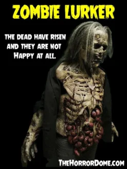 The Horror Dome "Zombies" HD Studios Pro Costumes - 3x Package Deal 10 The Horror Dome